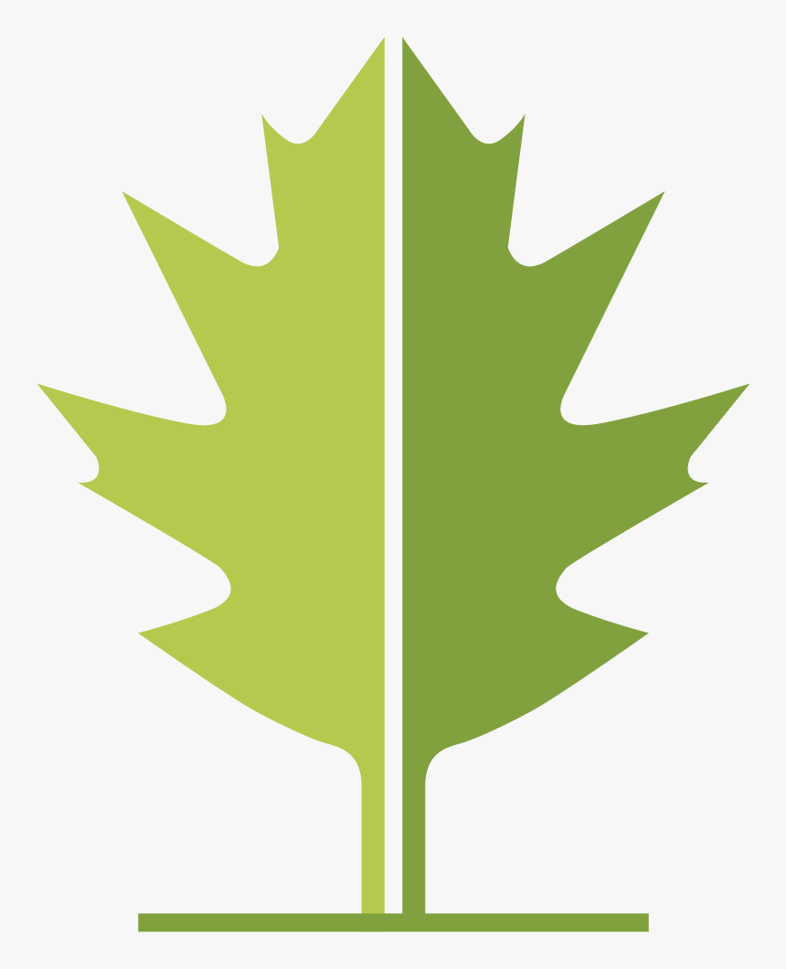 Wlt Leaf - Maple Leaf, HD Png Download