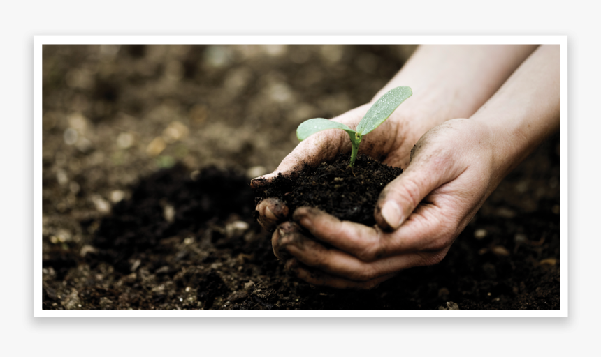 Annual Giving, HD Png Download