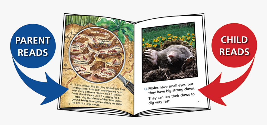 Book, HD Png Download