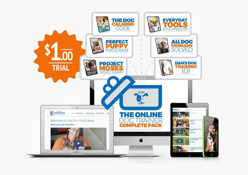 Web Page, HD Png Download