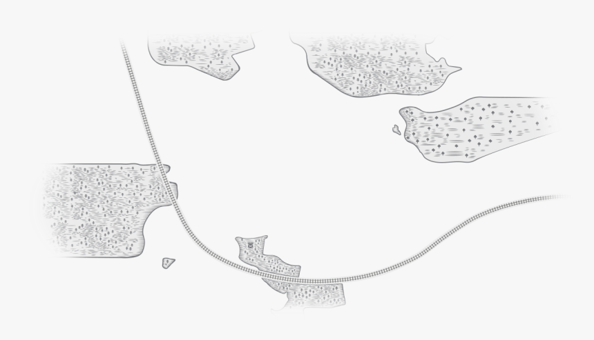 Still Life Photography, HD Png Download