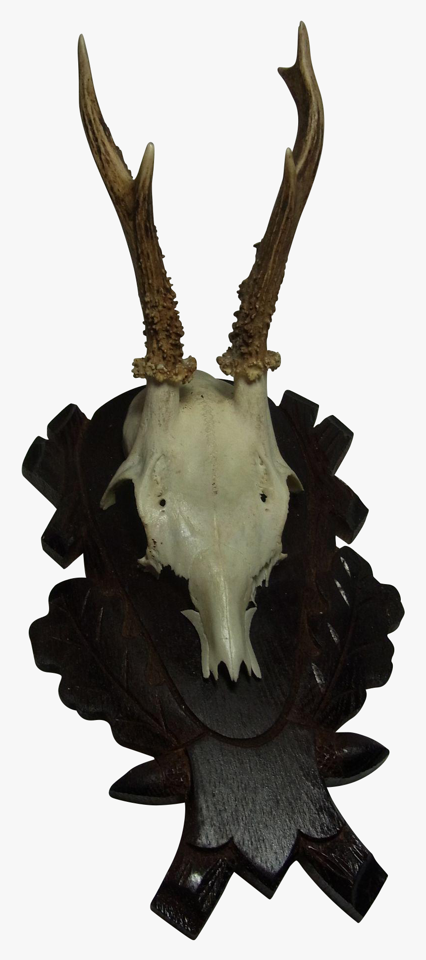 Vintage German Deer Antler Black Forest Wood Base, HD Png Download