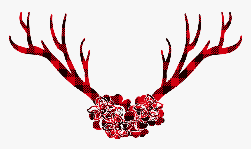 Deer, HD Png Download