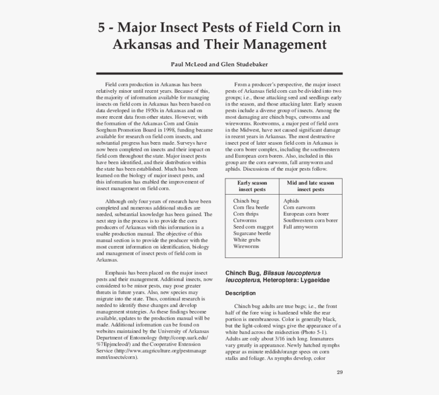 Transparent Corn Stalks Png - Otago, Png Download