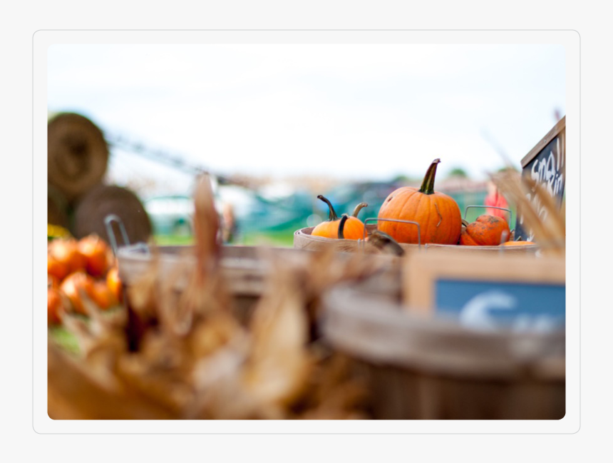 Pumpkin, HD Png Download