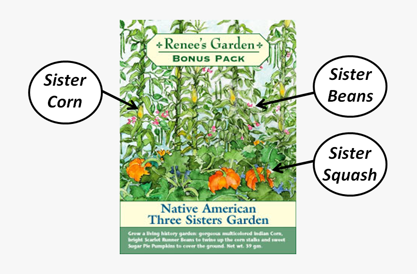 Sisters Garden Native Americans, HD Png Download