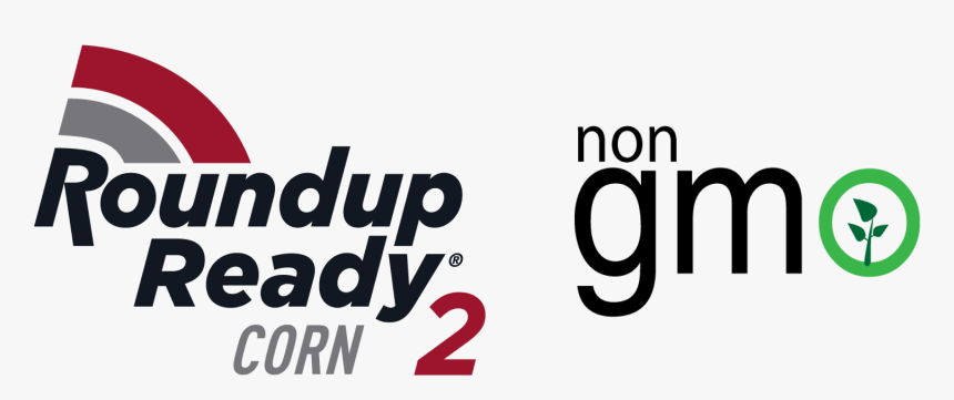 Rr Corn 2 Non Gmo - Graphic Design, HD Png Download