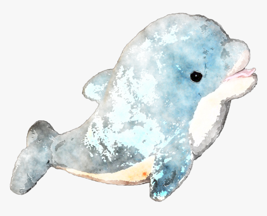 Clip Art Seal Watercolor - Dolphin Watercolor Png, Transparent Png