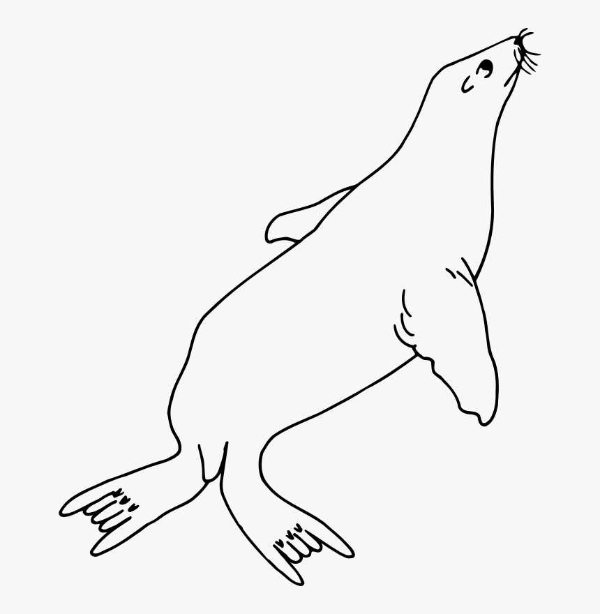 Art,carnivoran,hare - Sea Lion Clip Art Black And White, HD Png Download