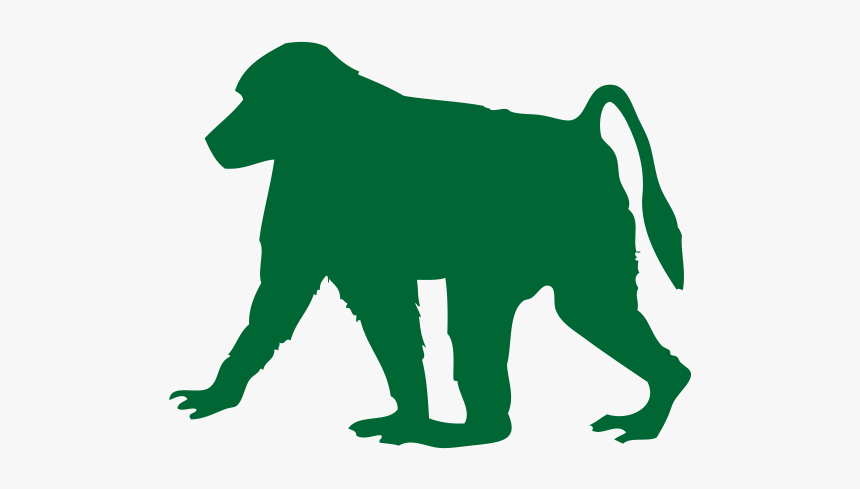 Baboon Transparent Image - Dog Catches Something, HD Png Download