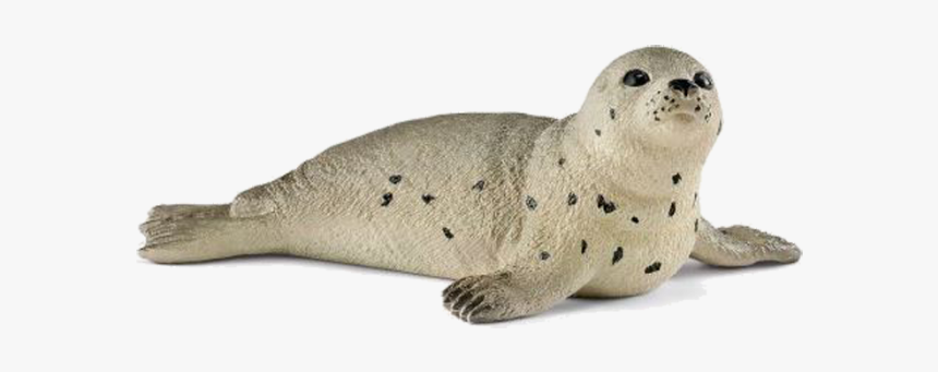 Schleich Säl, HD Png Download