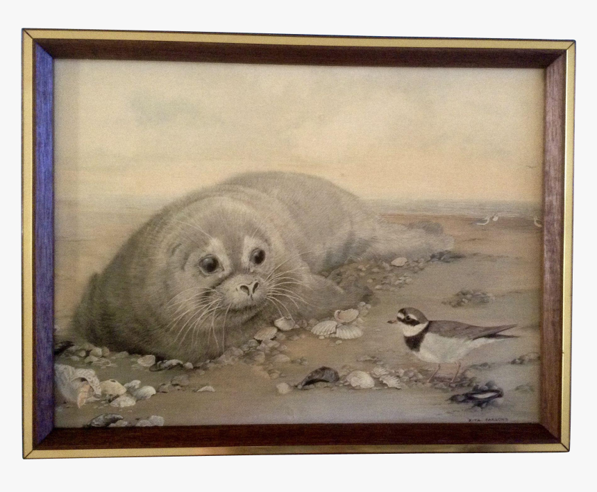 Picture Frame, HD Png Download