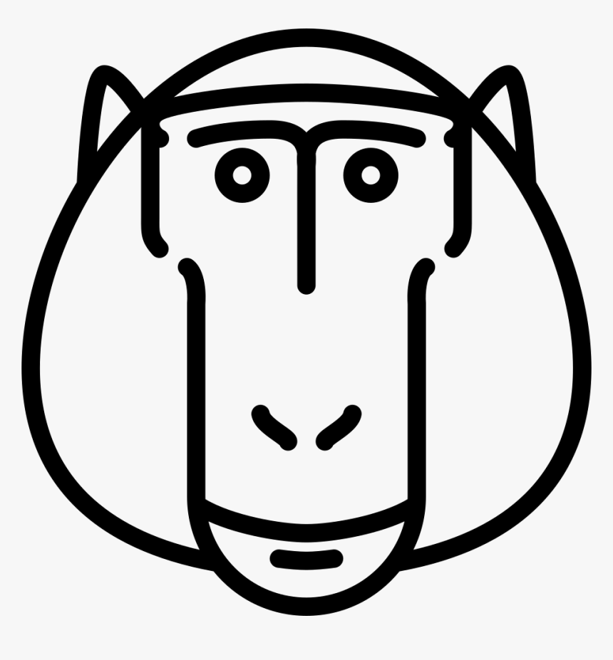 Baboon Head - Baboons, HD Png Download