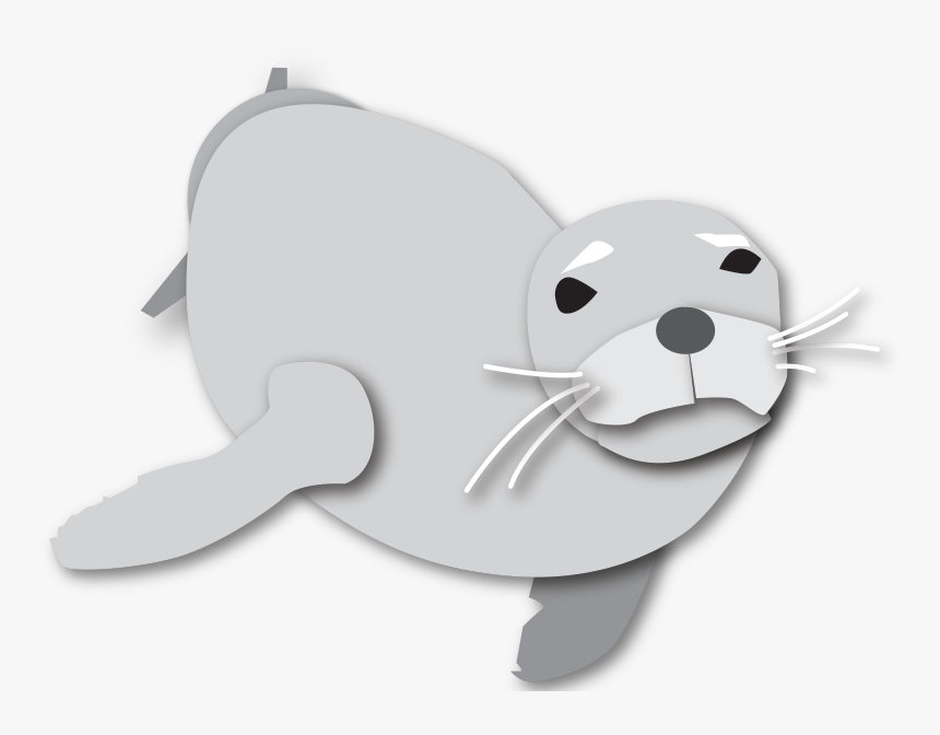Monk Seal Illustration - Earless Seal, HD Png Download