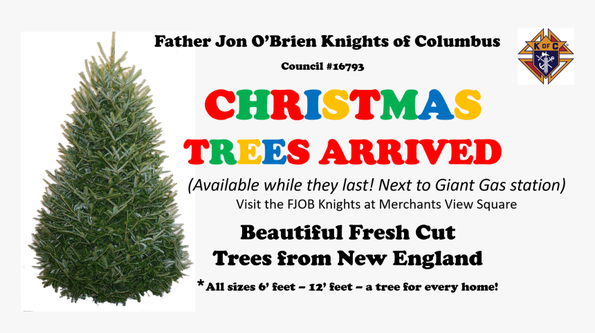 Christmas Tree, HD Png Download