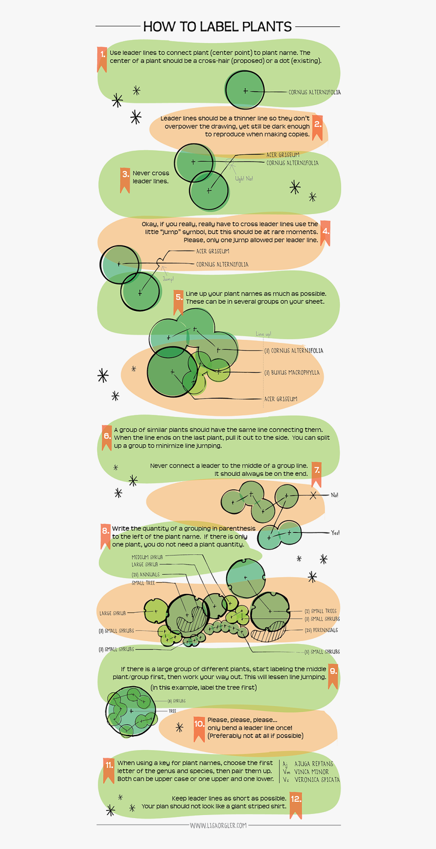 Landscaping Plants Labeled, HD Png Download