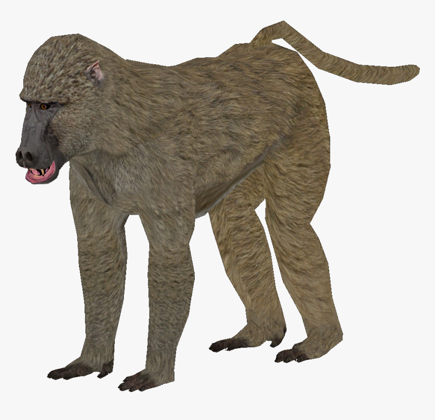 Zoo Tycoon 2 Olive Baboon, HD Png Download