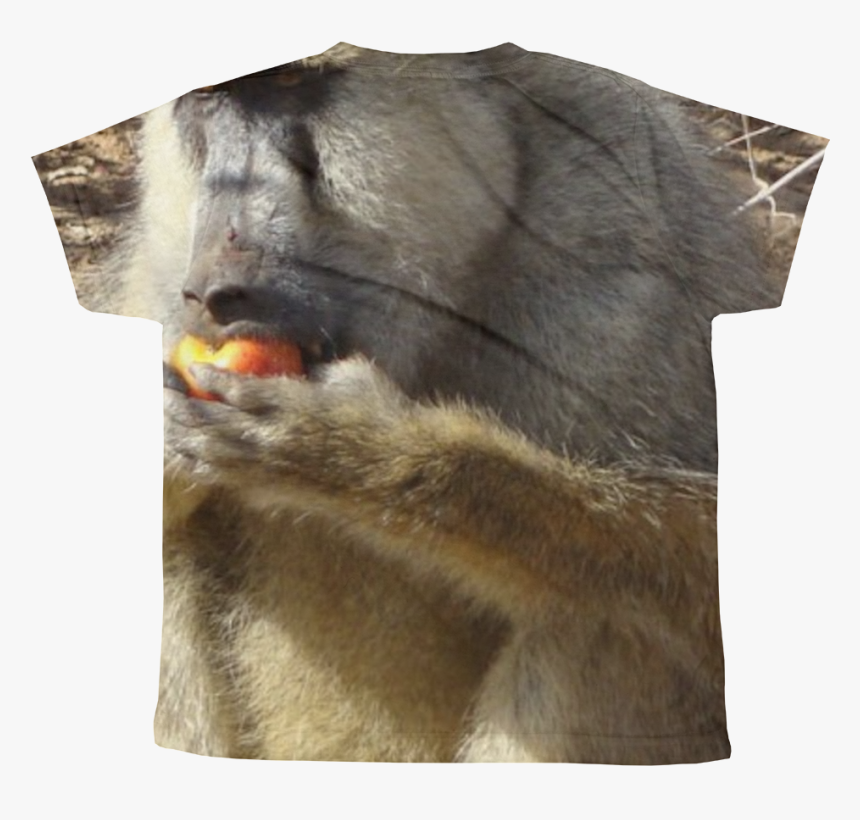 Baboon, HD Png Download