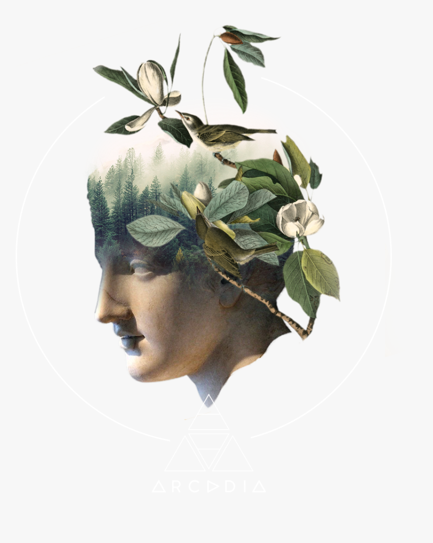 Logo - Arcadia Earth Logo, HD Png Download