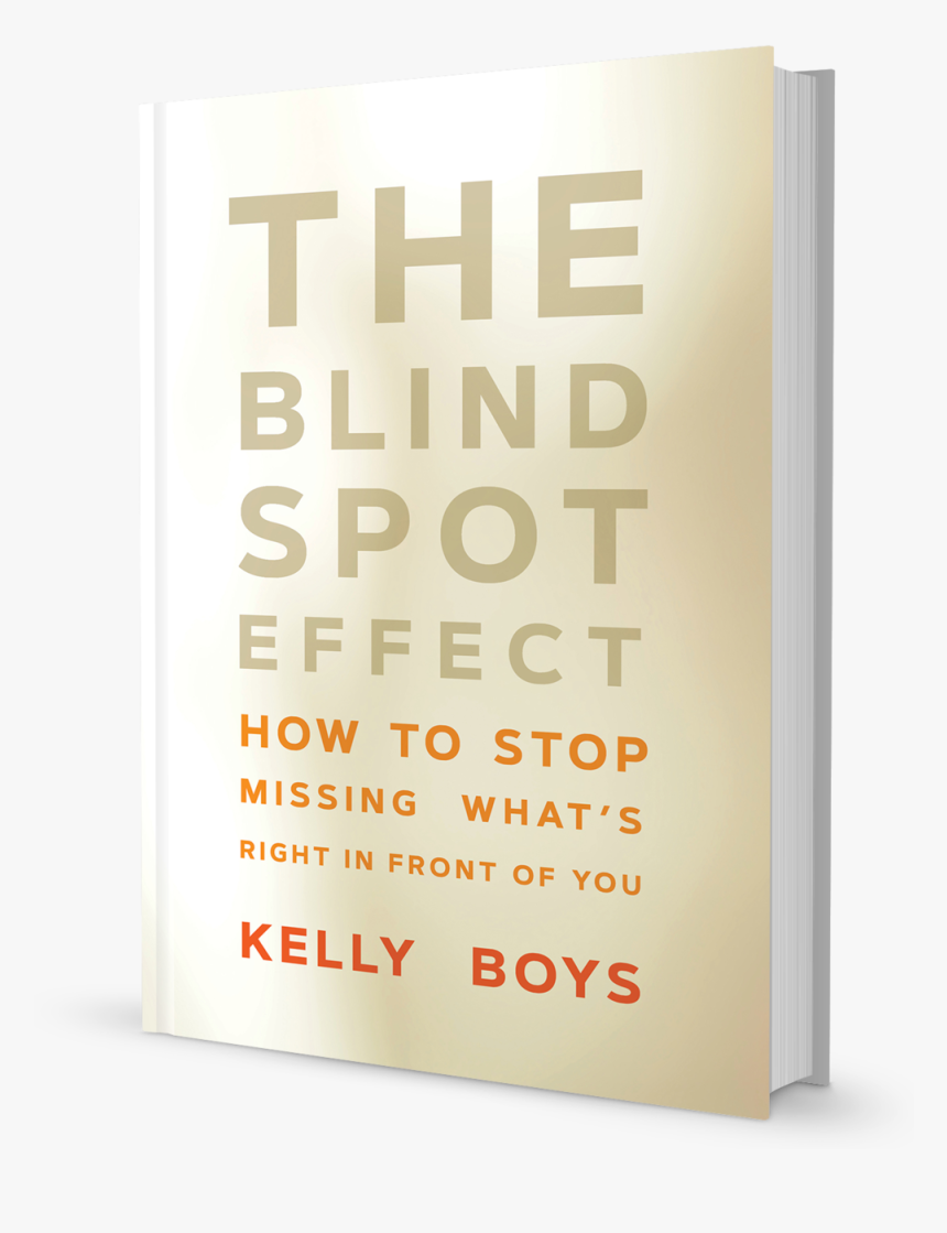 The Blind Spot Effect - Fabulous Beekman Boys, HD Png Download