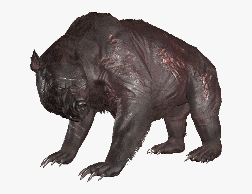 Encyaoguai06 - Zoo, HD Png Download