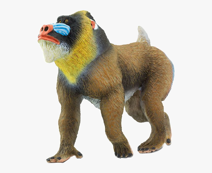 #monkey #baboon #mandrill #safariltd #freetoedit #scmonkey - Baboon Monkey Toy Model, HD Png Download