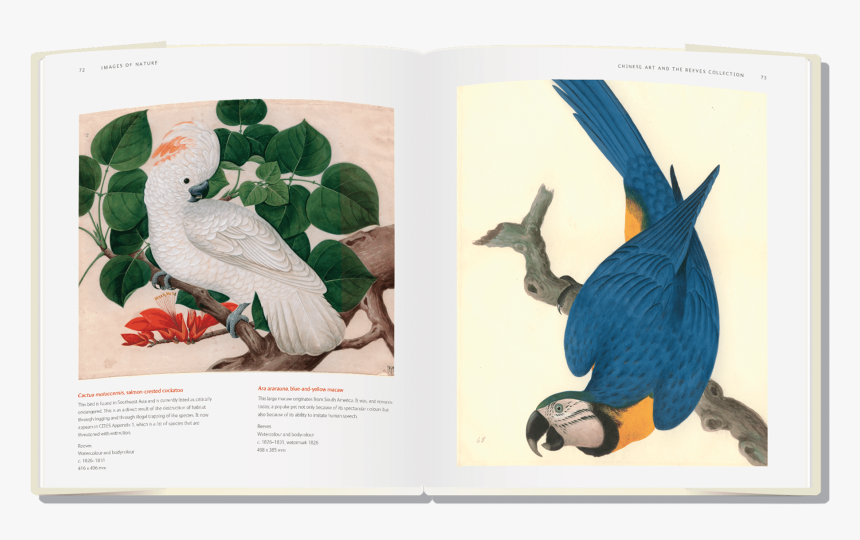 Natural History Museum Book, HD Png Download