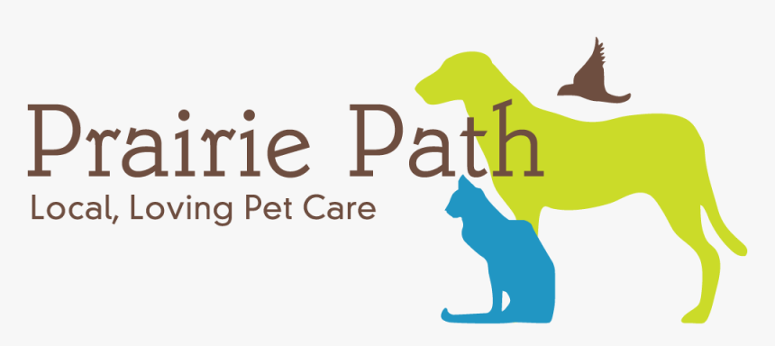 Illustration Of A Dog, Cat And Bird - Pet Care, HD Png Download