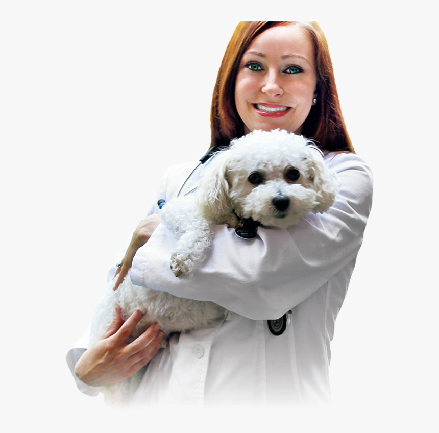 Veterinarian With A Canine Patient Doctor With A Dog, HD Png Download