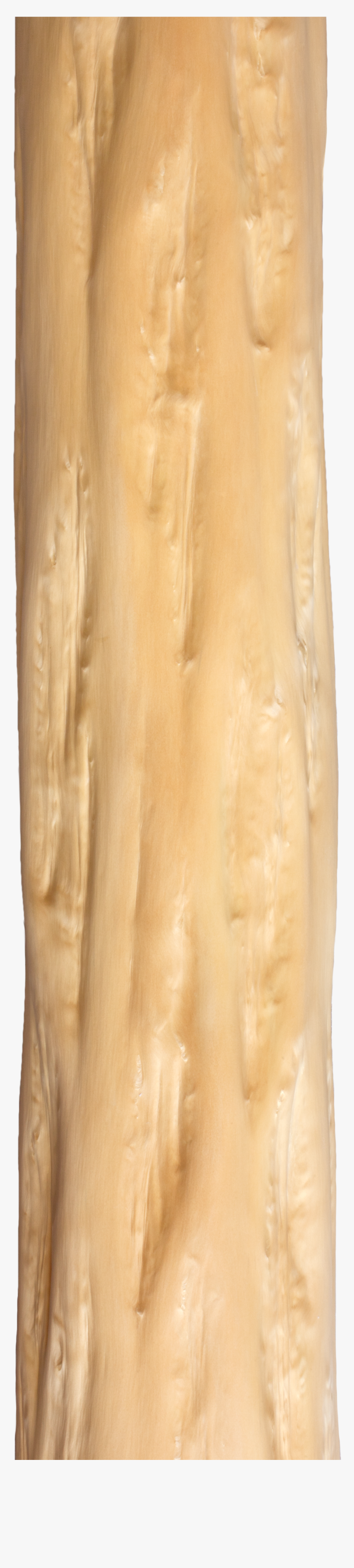 Tree Trunk Png Over The Bark Of The Treetree Trunk - Plywood, Transparent Png