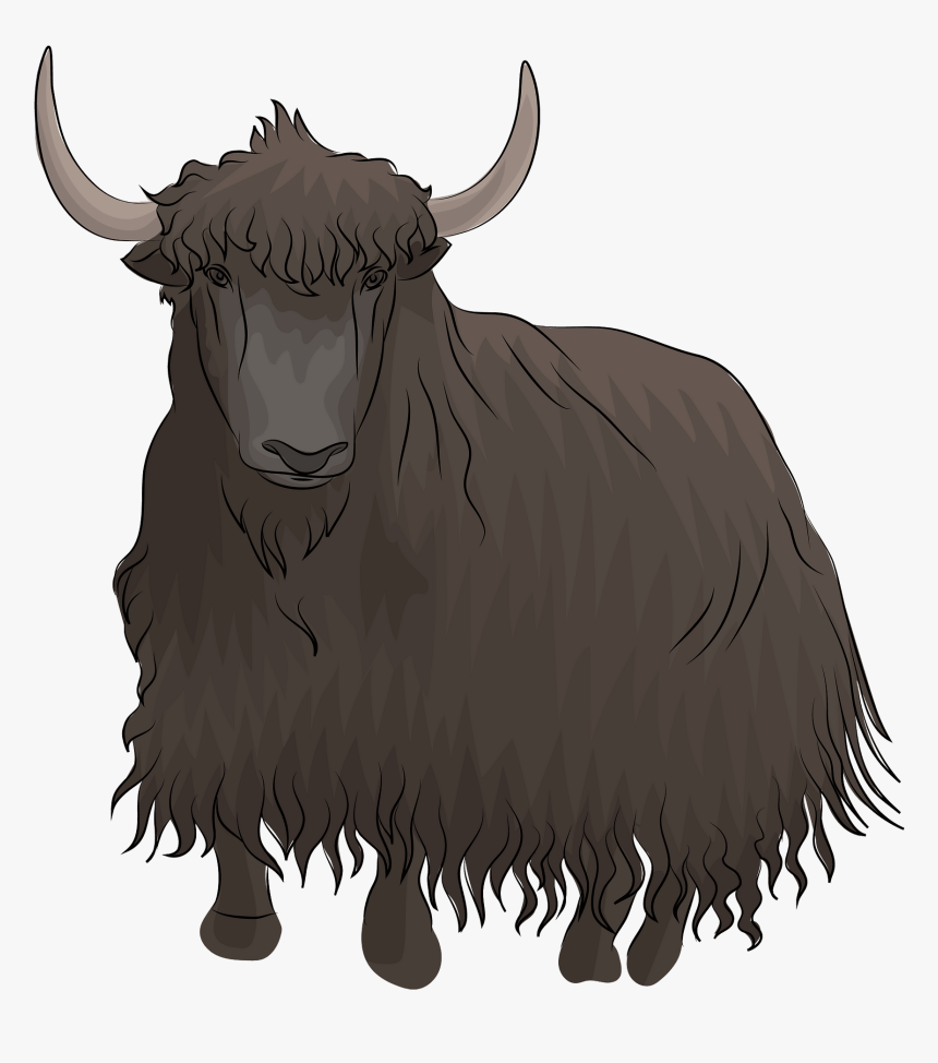 Bull, HD Png Download