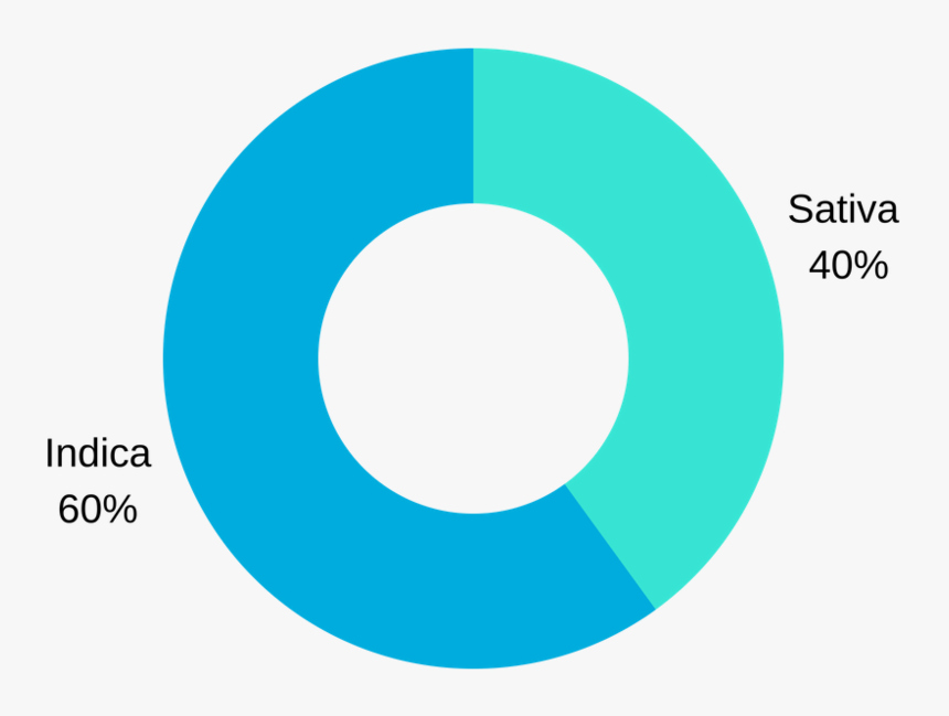 Untitled Design - Circle, HD Png Download