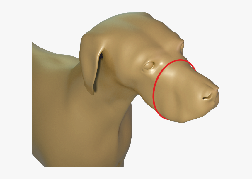 Dog, HD Png Download