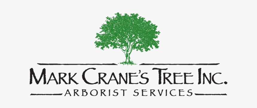 Tree Of Liberty, HD Png Download