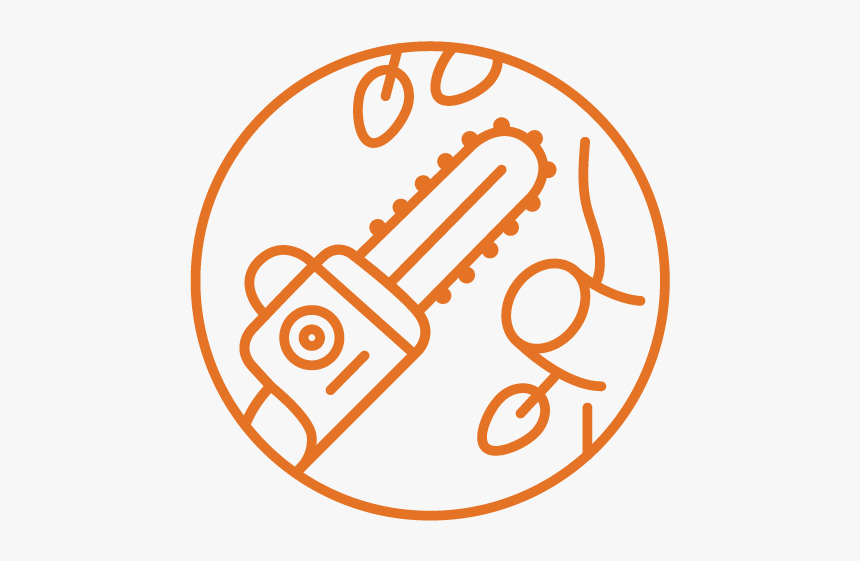 Tree Trimming Removal - Panama Airlines Logo, HD Png Download