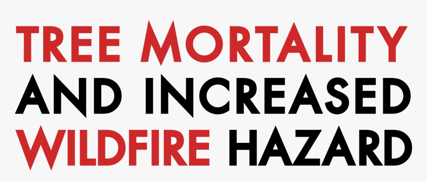 Green, HD Png Download