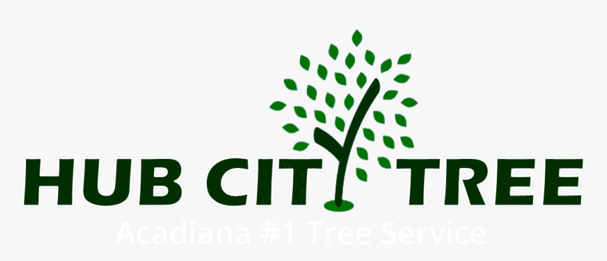 Dying Tree Png, Transparent Png