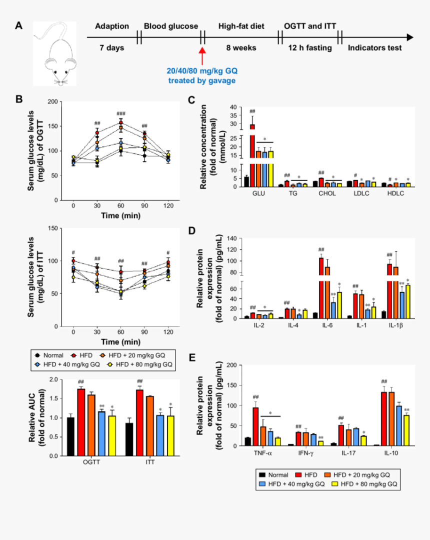 Screenshot, HD Png Download