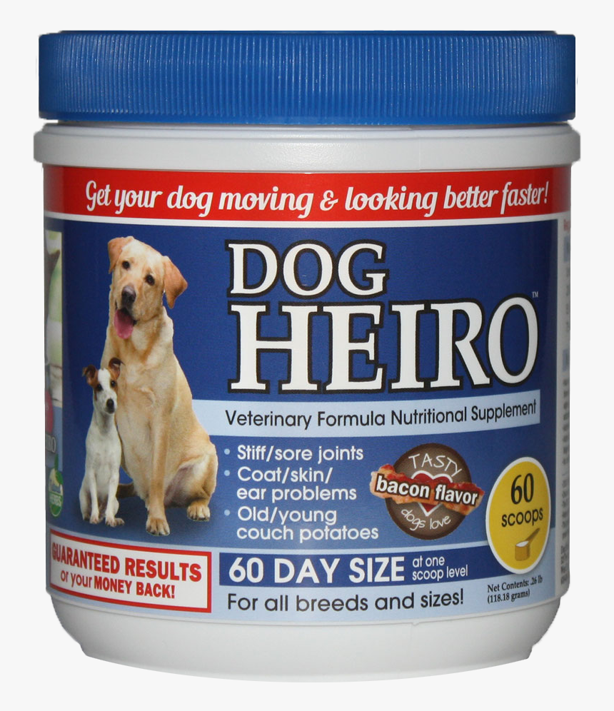 Companion Dog, HD Png Download