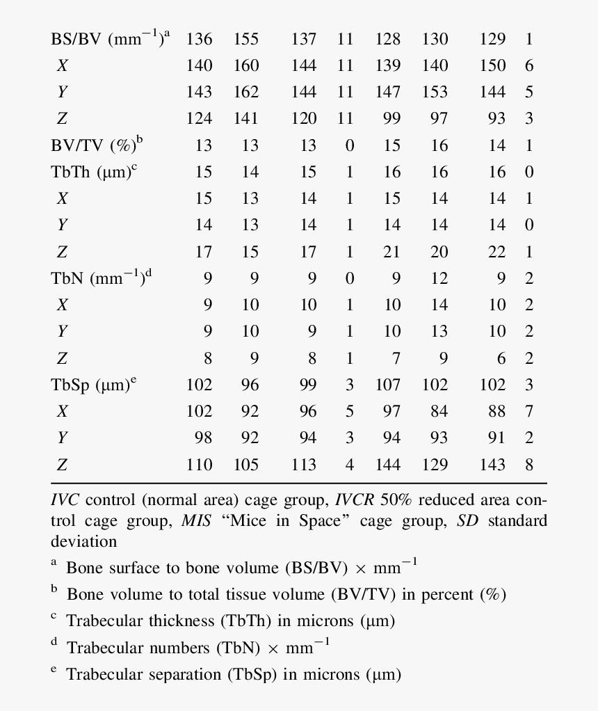 Document, HD Png Download