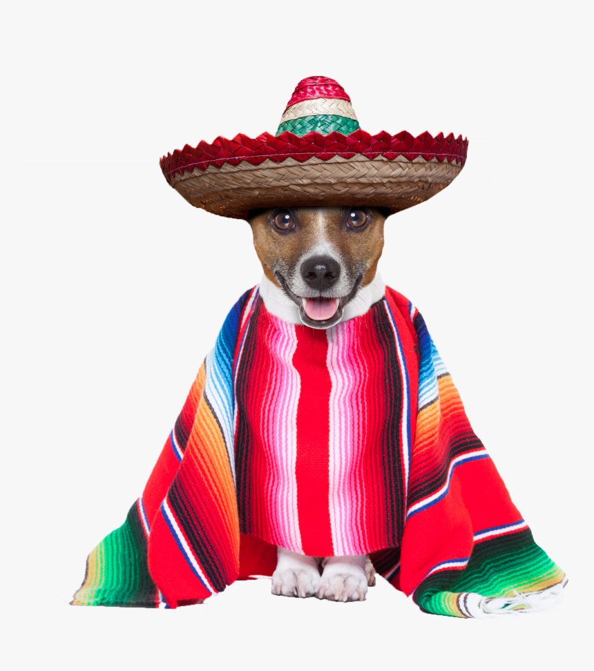 Dog Cinco De Mayo, HD Png Download