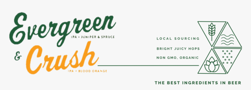 Evergreen Crush Logo With Triangles - Paper Product, HD Png Download