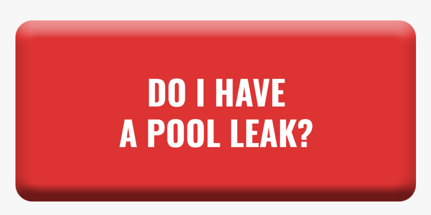 Find Out Now - Bottlenose Dolphin, HD Png Download