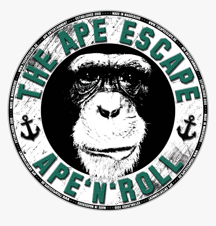 Gorilla, HD Png Download