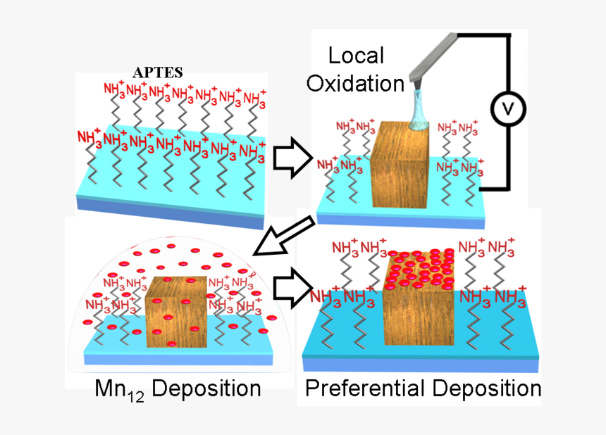 Mn12 Deposition Procedure - Deposition, HD Png Download