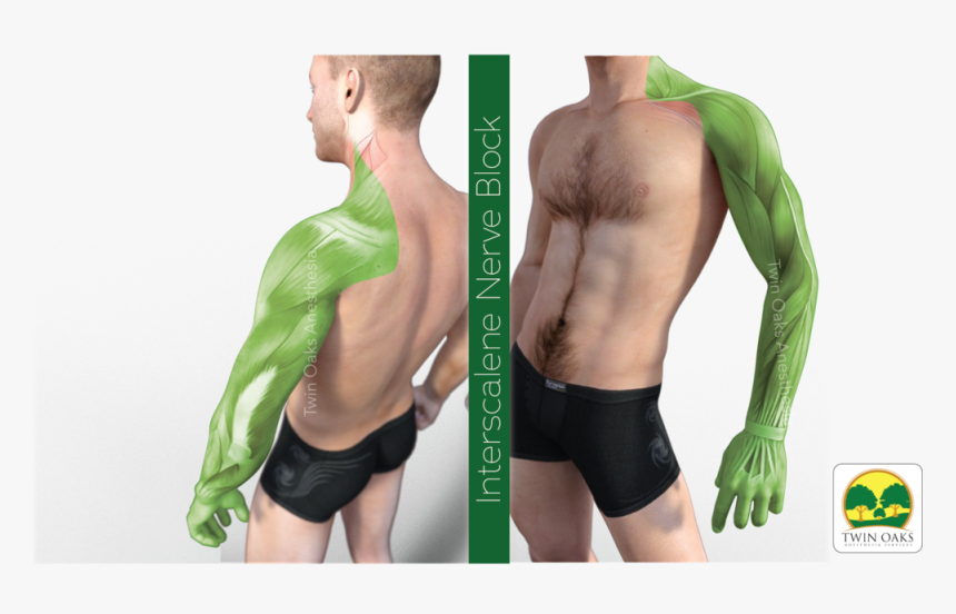 Interscalene Slide Small, HD Png Download