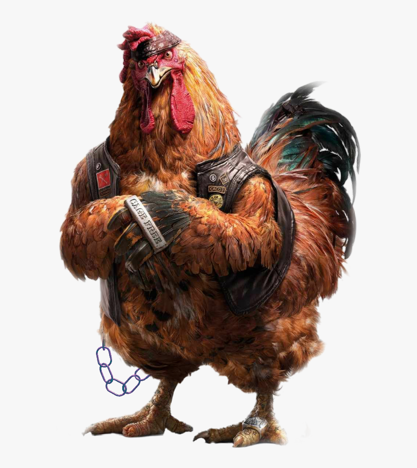 #gallina #aves #avesdecorral #animales #gigante #comida - Sisi Lain Dunia, HD Png Download