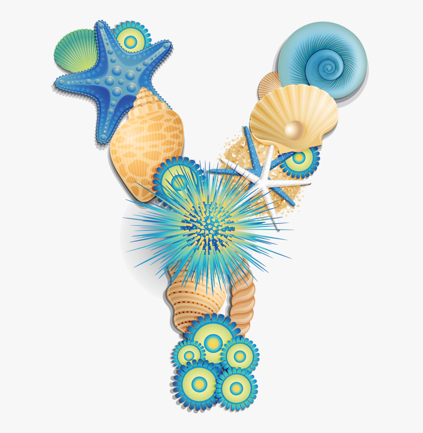 Letter Y With Shells, HD Png Download