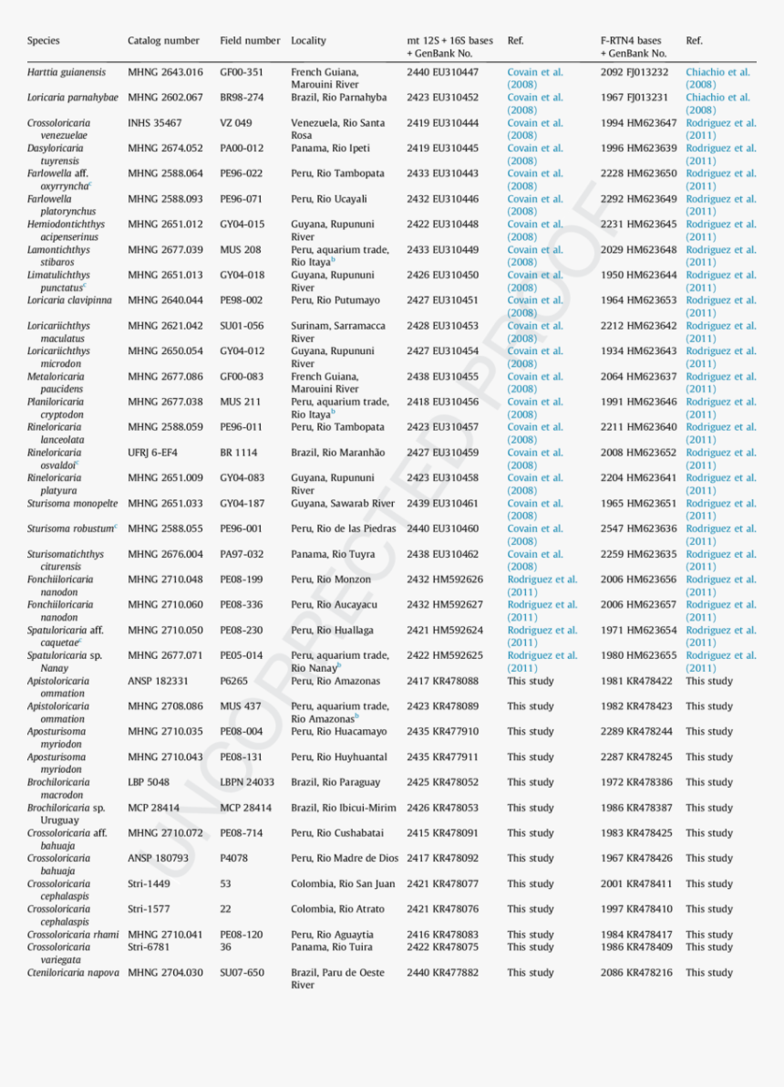 Parallel, HD Png Download