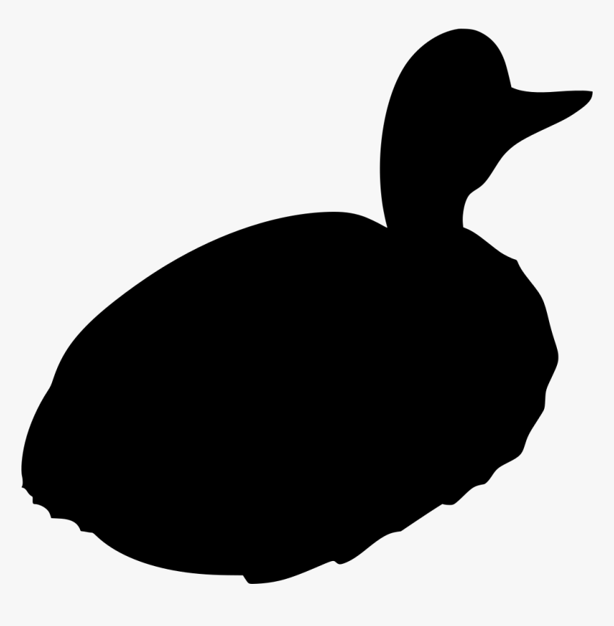 Duck, HD Png Download